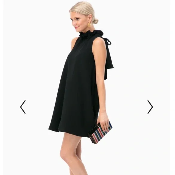 NWT Tuckernuck black ruffle neck Blythe dress S - Picture 4 of 15